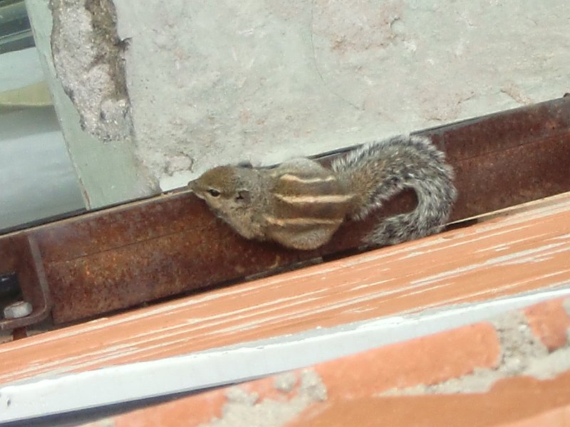 India Trip - July 2010 099.jpg